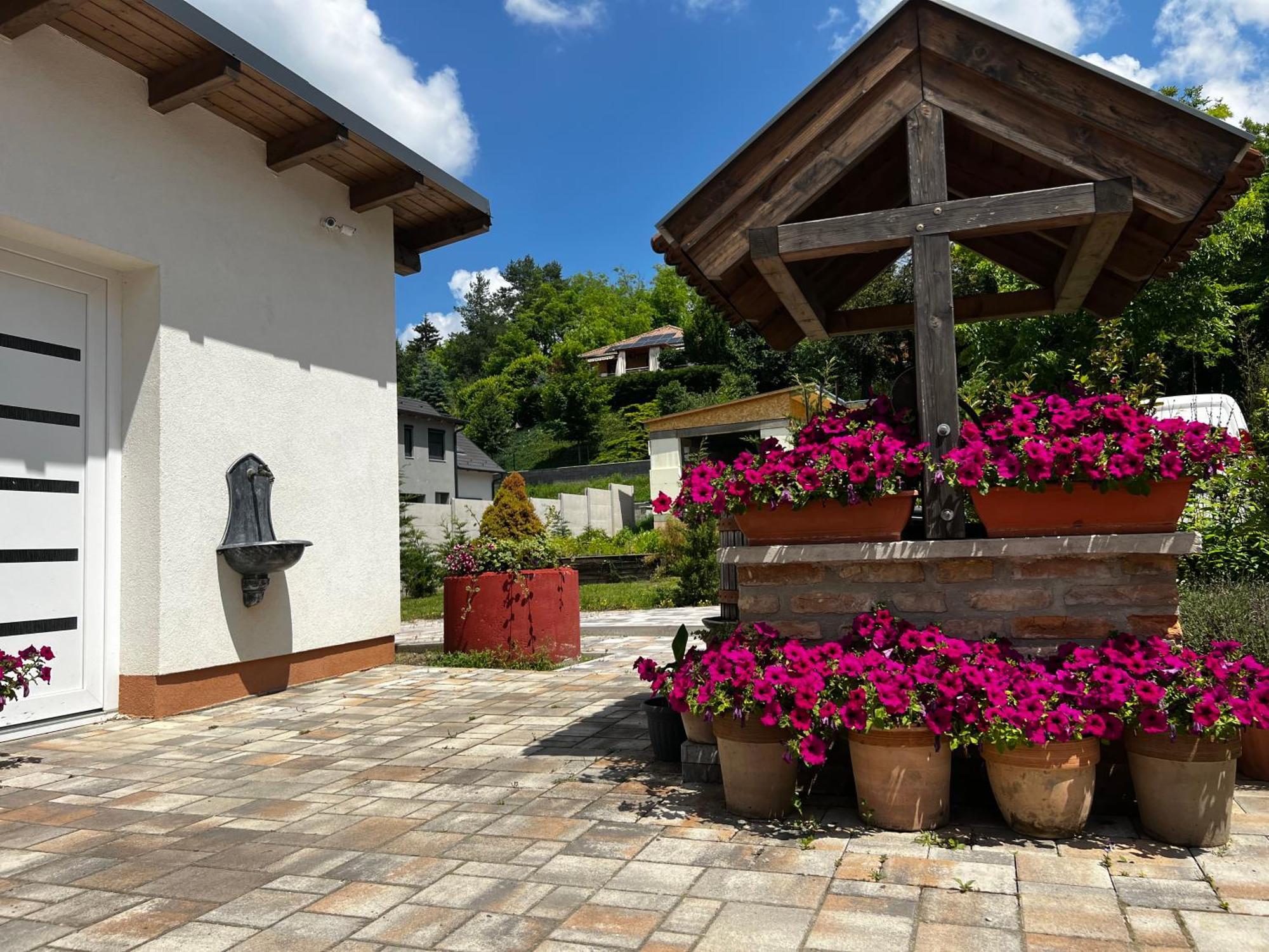 GyőrújbarátDreko Panzio & Borbisztro住宿加早餐旅馆 外观 照片